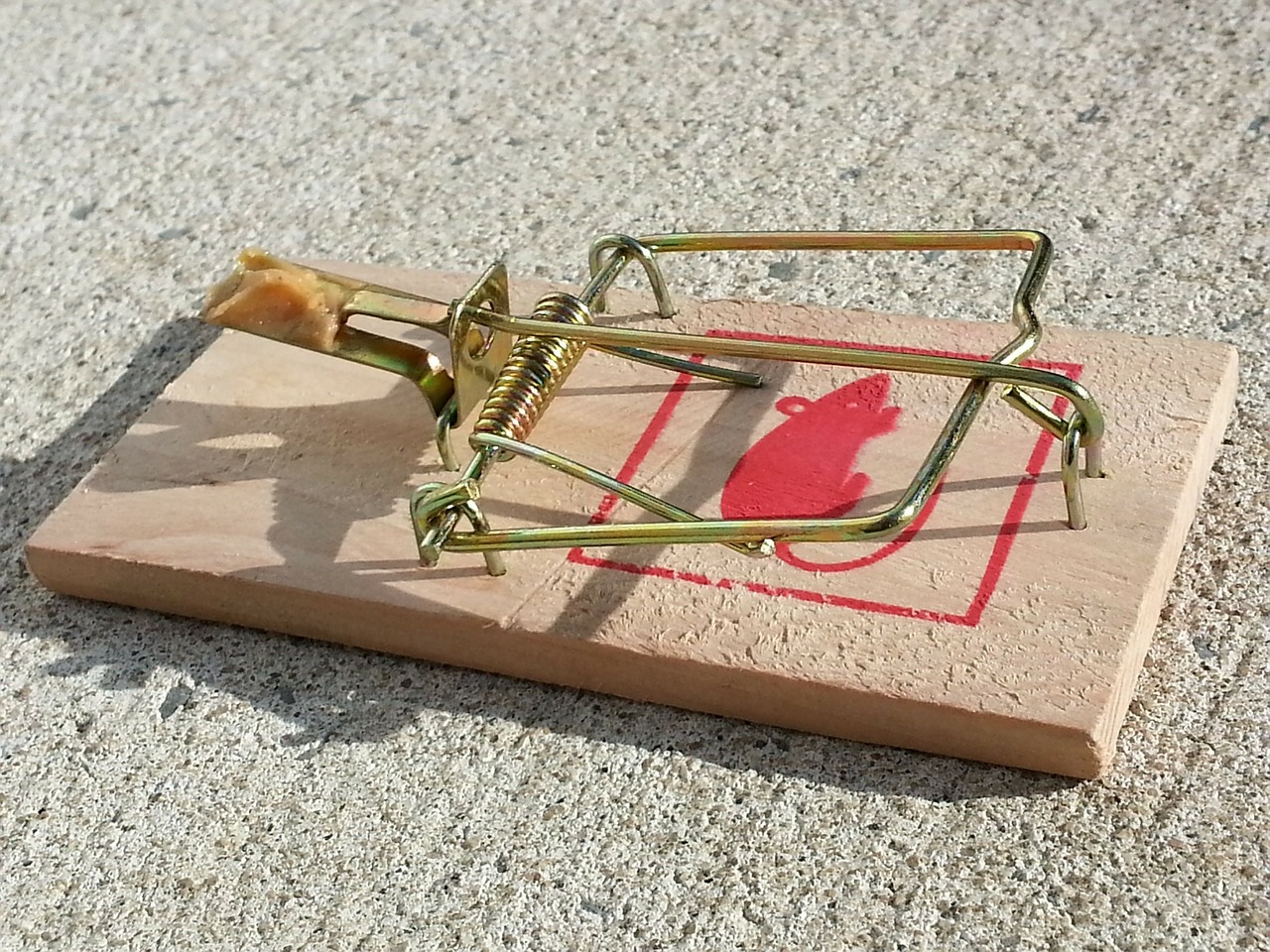 what is the most effective mouse trap